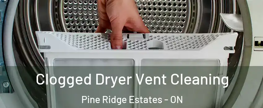  Clogged Dryer Vent Cleaning Pine Ridge Estates - ON