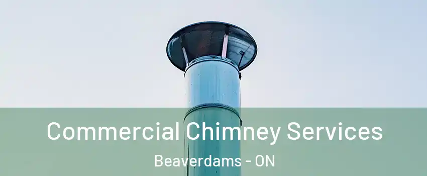  Commercial Chimney Services Beaverdams - ON