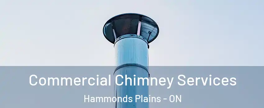  Commercial Chimney Services Hammonds Plains - ON