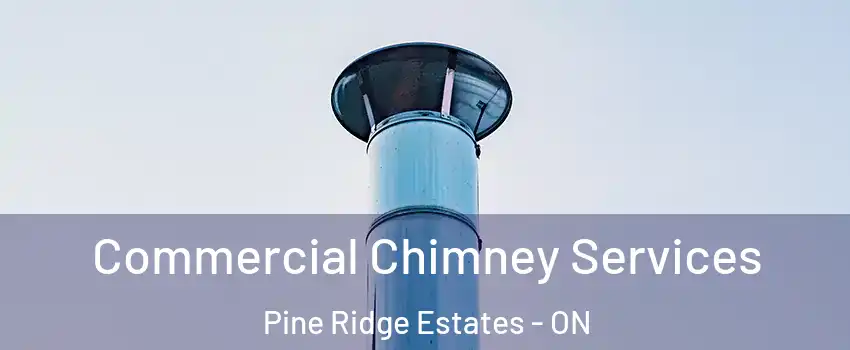  Commercial Chimney Services Pine Ridge Estates - ON