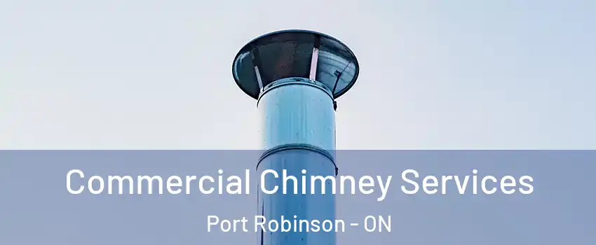  Commercial Chimney Services Port Robinson - ON