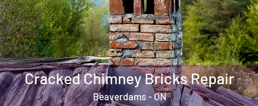  Cracked Chimney Bricks Repair Beaverdams - ON