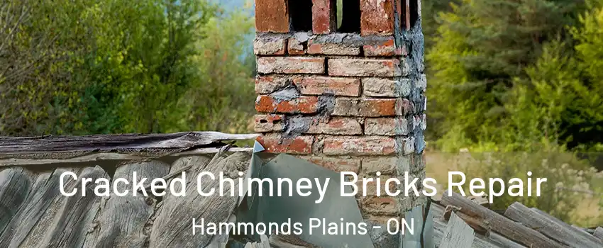  Cracked Chimney Bricks Repair Hammonds Plains - ON
