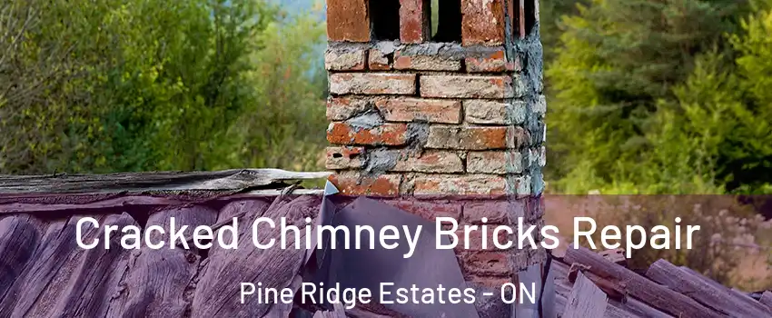  Cracked Chimney Bricks Repair Pine Ridge Estates - ON