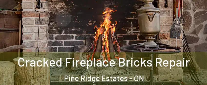  Cracked Fireplace Bricks Repair Pine Ridge Estates - ON
