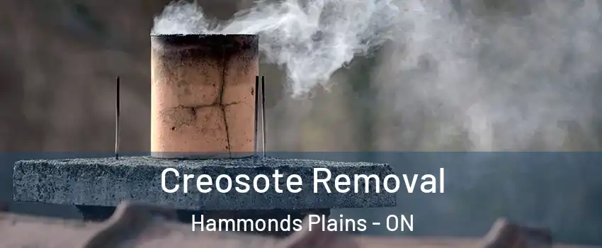  Creosote Removal Hammonds Plains - ON