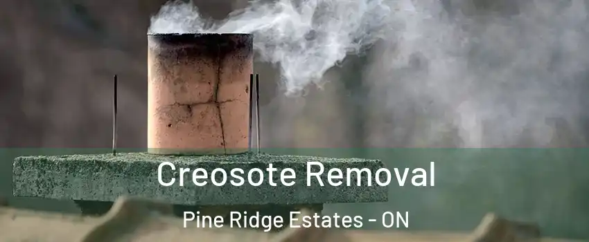  Creosote Removal Pine Ridge Estates - ON