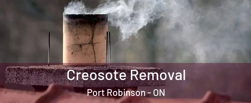  Creosote Removal Port Robinson - ON