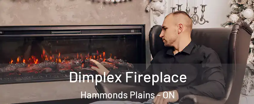  Dimplex Fireplace Hammonds Plains - ON
