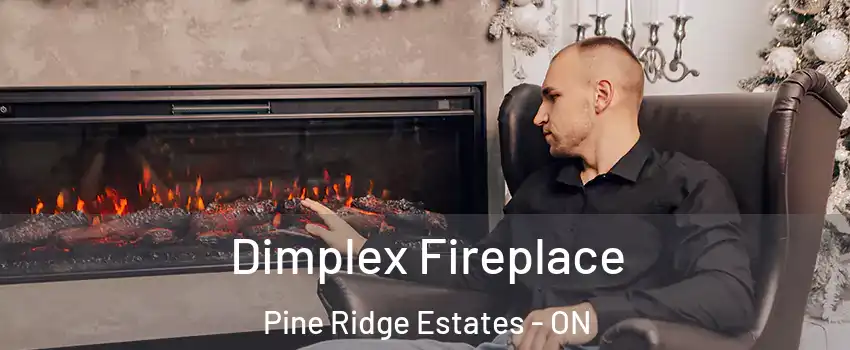  Dimplex Fireplace Pine Ridge Estates - ON