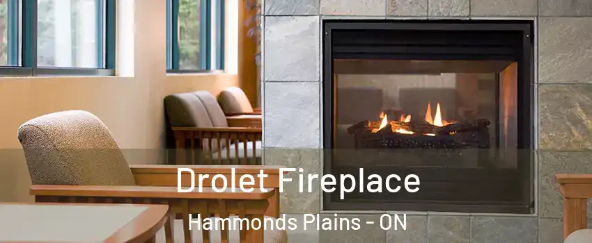  Drolet Fireplace Hammonds Plains - ON