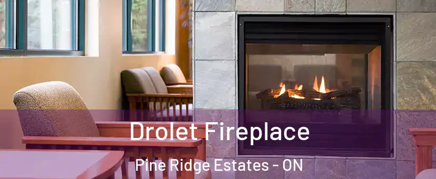  Drolet Fireplace Pine Ridge Estates - ON