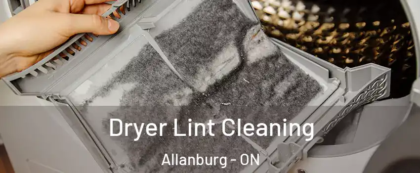  Dryer Lint Cleaning Allanburg - ON