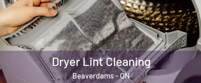  Dryer Lint Cleaning Beaverdams - ON