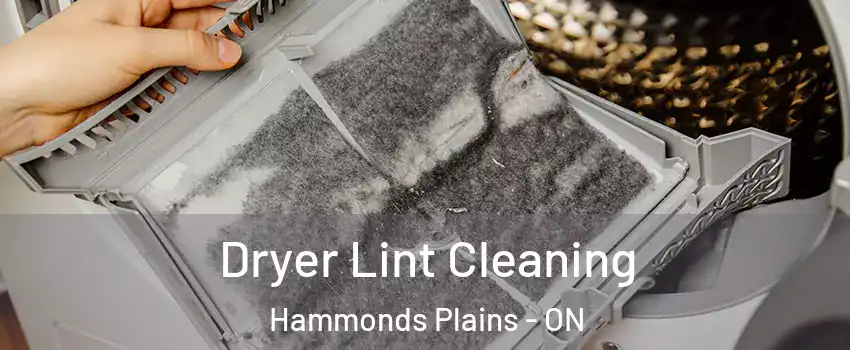  Dryer Lint Cleaning Hammonds Plains - ON