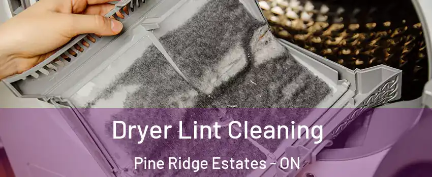  Dryer Lint Cleaning Pine Ridge Estates - ON