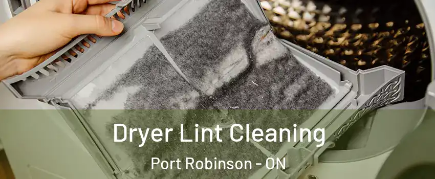  Dryer Lint Cleaning Port Robinson - ON