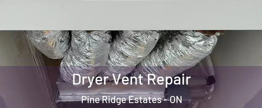  Dryer Vent Repair Pine Ridge Estates - ON