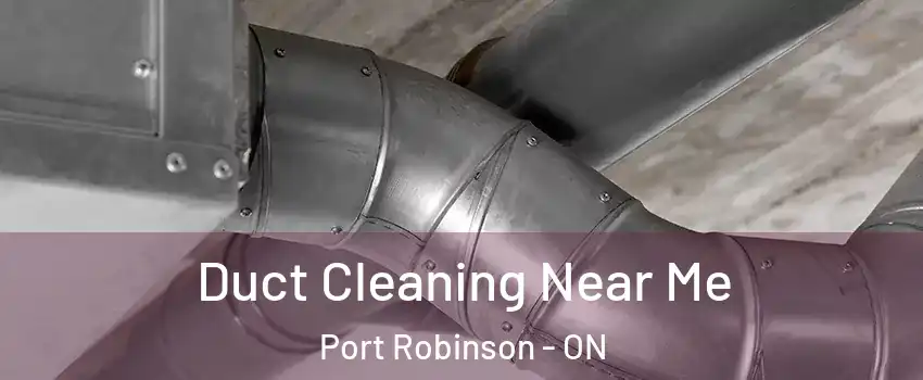  Duct Cleaning Near Me Port Robinson - ON