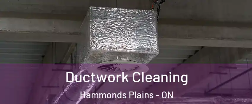  Ductwork Cleaning Hammonds Plains - ON