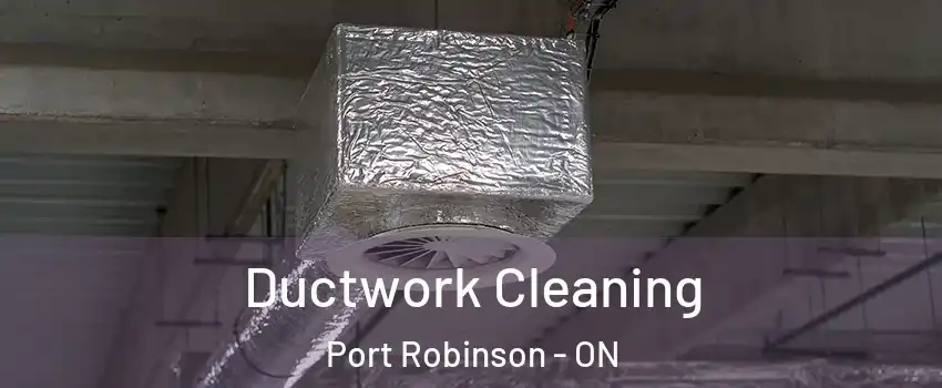  Ductwork Cleaning Port Robinson - ON