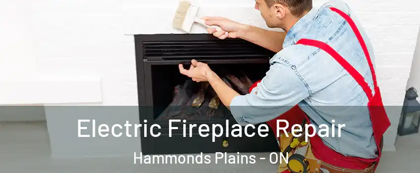  Electric Fireplace Repair Hammonds Plains - ON