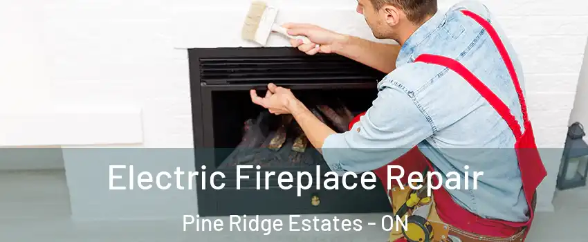  Electric Fireplace Repair Pine Ridge Estates - ON
