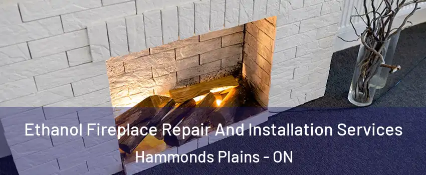  Ethanol Fireplace Repair And Installation Services Hammonds Plains - ON