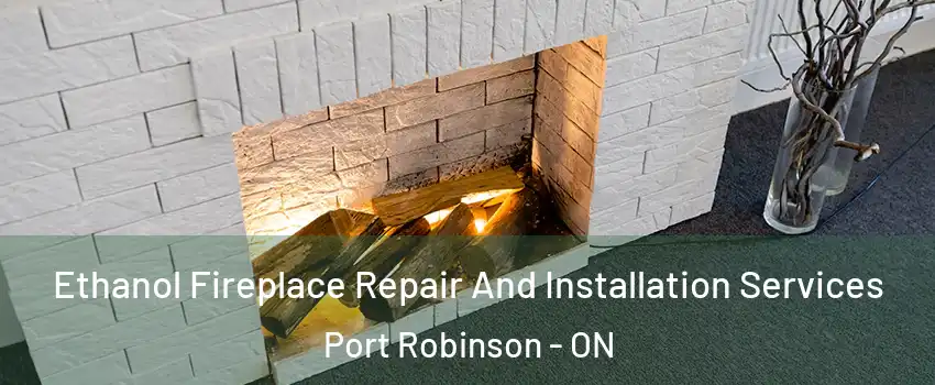  Ethanol Fireplace Repair And Installation Services Port Robinson - ON