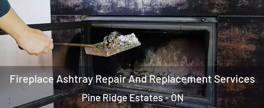  Fireplace Ashtray Repair And Replacement Services Pine Ridge Estates - ON