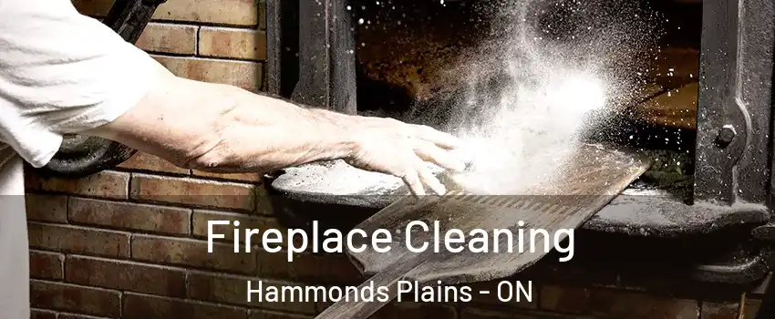  Fireplace Cleaning Hammonds Plains - ON