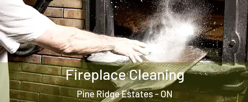  Fireplace Cleaning Pine Ridge Estates - ON
