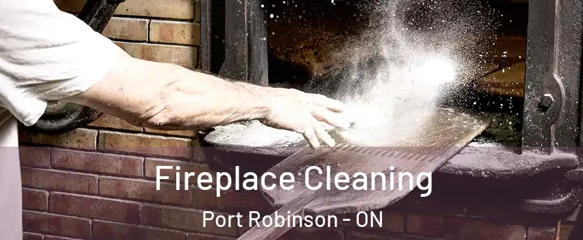  Fireplace Cleaning Port Robinson - ON