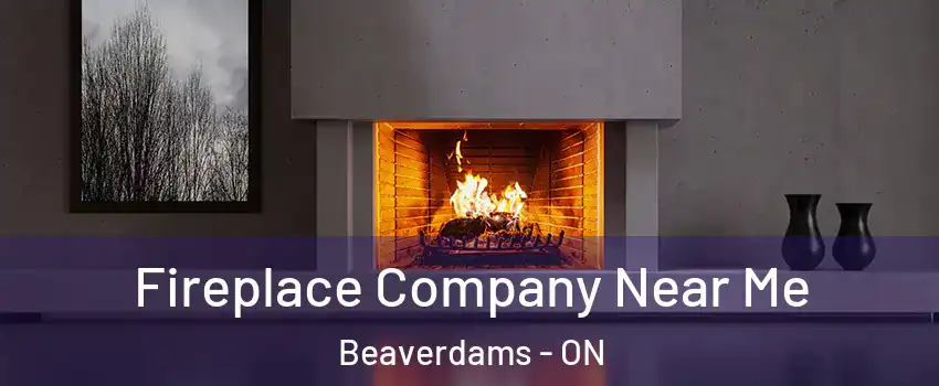  Fireplace Company Near Me Beaverdams - ON