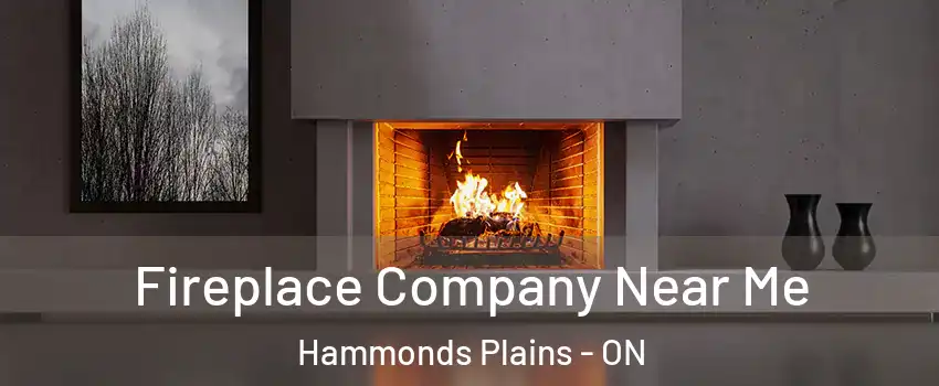  Fireplace Company Near Me Hammonds Plains - ON