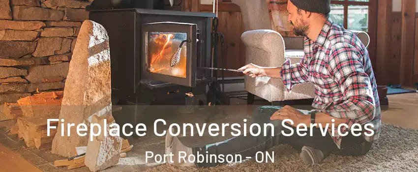  Fireplace Conversion Services Port Robinson - ON