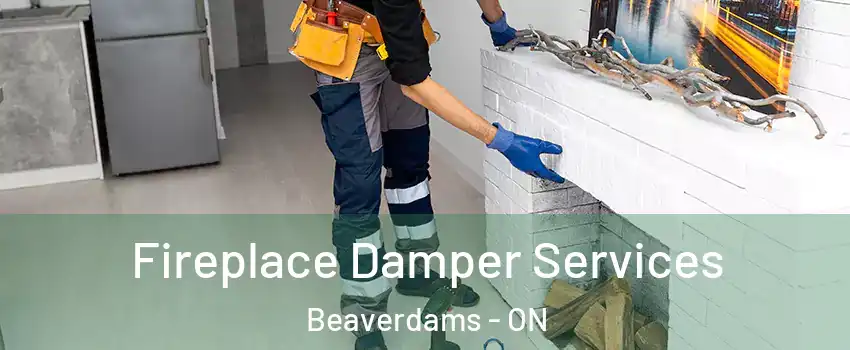  Fireplace Damper Services Beaverdams - ON