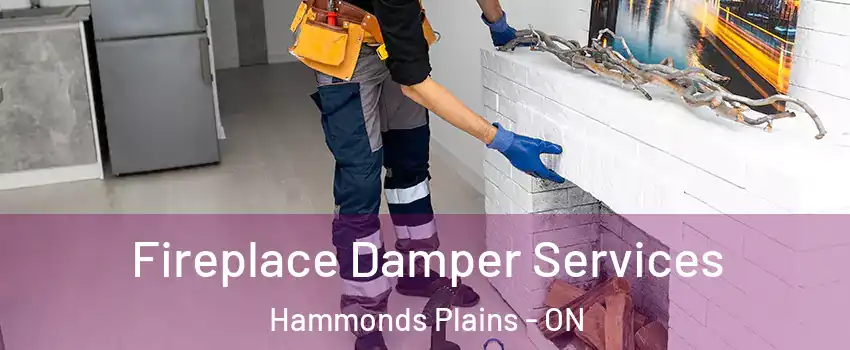  Fireplace Damper Services Hammonds Plains - ON