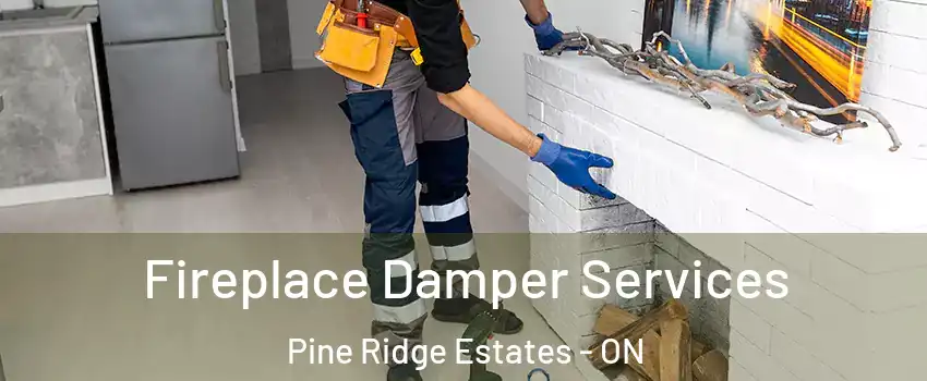  Fireplace Damper Services Pine Ridge Estates - ON