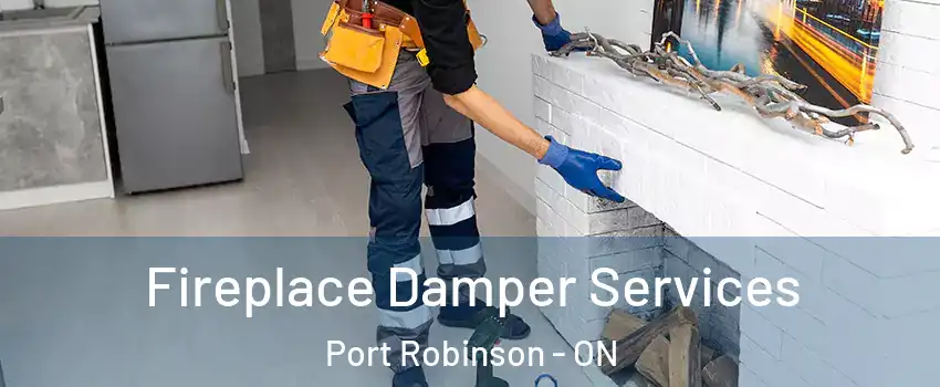 Fireplace Damper Services Port Robinson - ON