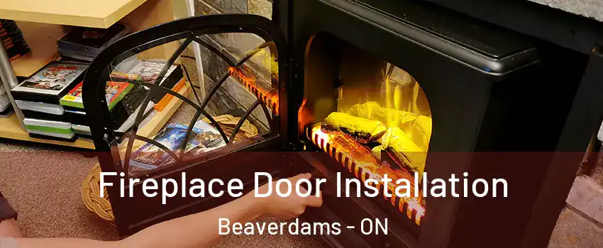  Fireplace Door Installation Beaverdams - ON