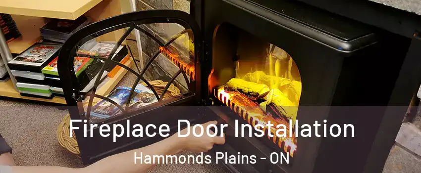  Fireplace Door Installation Hammonds Plains - ON