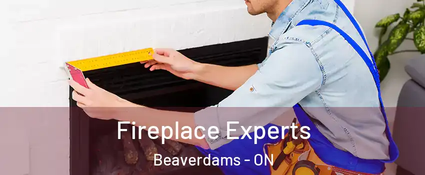 Fireplace Experts Beaverdams - ON