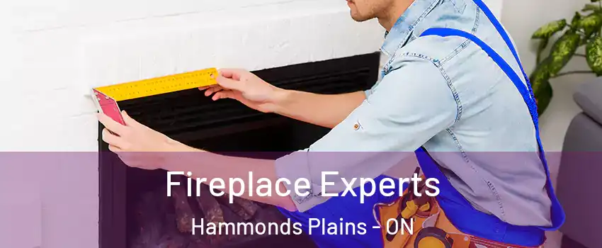  Fireplace Experts Hammonds Plains - ON