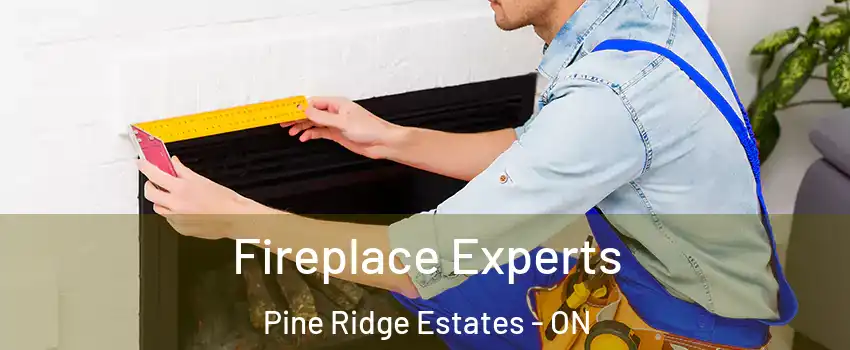  Fireplace Experts Pine Ridge Estates - ON