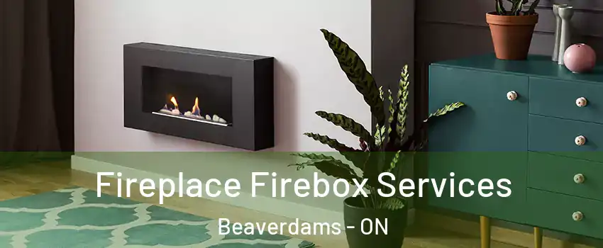  Fireplace Firebox Services Beaverdams - ON
