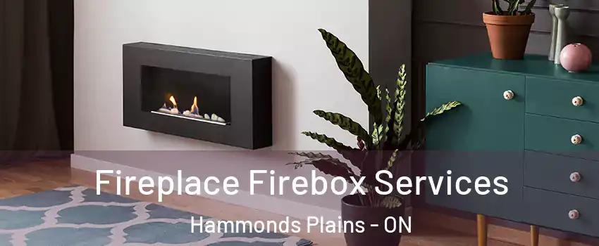  Fireplace Firebox Services Hammonds Plains - ON