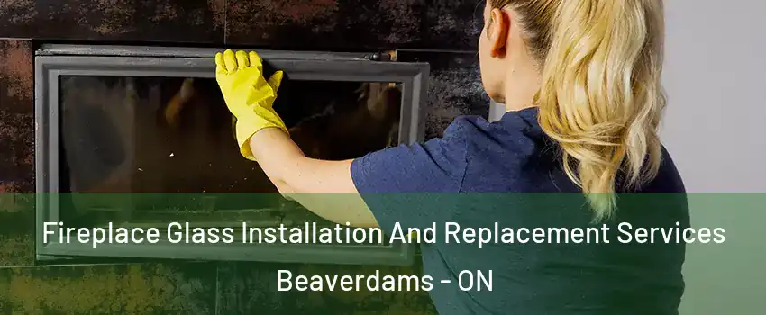  Fireplace Glass Installation And Replacement Services Beaverdams - ON