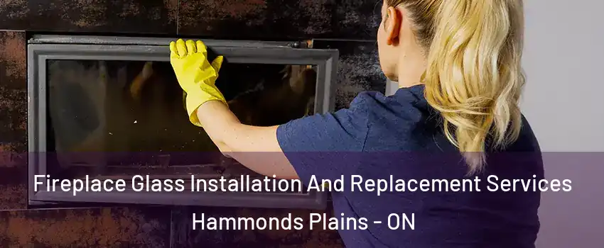  Fireplace Glass Installation And Replacement Services Hammonds Plains - ON