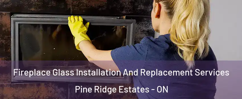  Fireplace Glass Installation And Replacement Services Pine Ridge Estates - ON